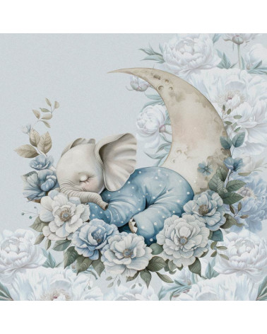 Sleeping elephant boy 01