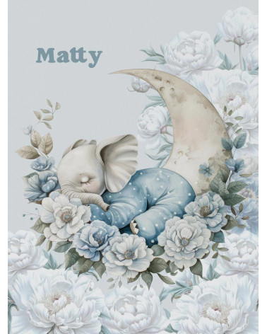 Sleeping elephant boy 01