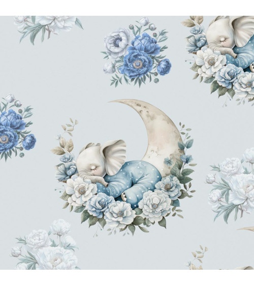 Sleeping elephant  Boy 01