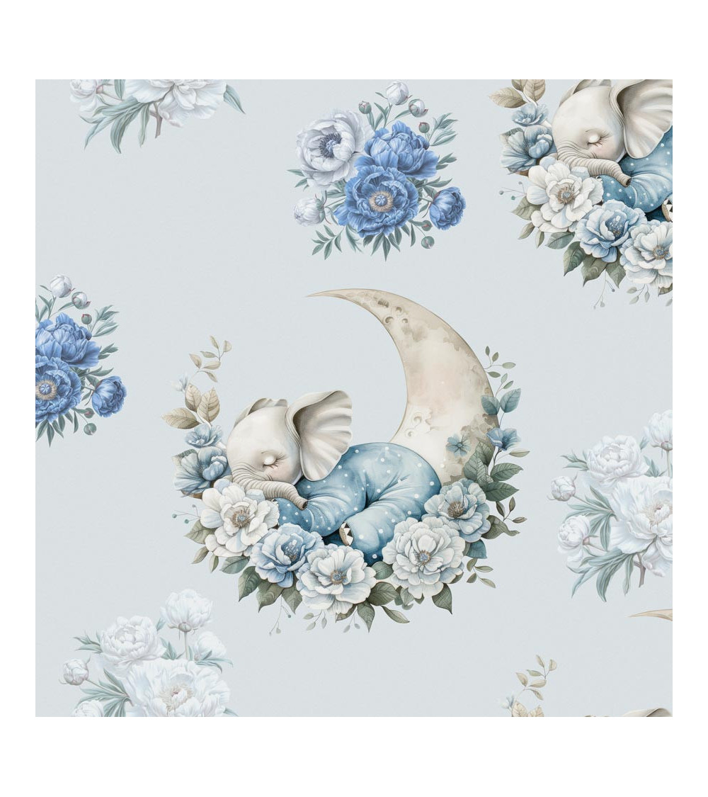 Sleeping elephant  Boy 01