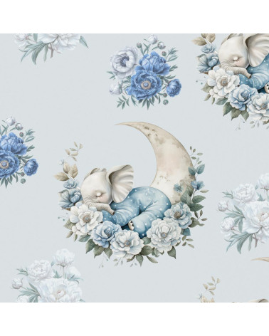 Sleeping elephant  Boy 01