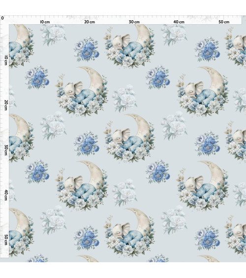 Sleeping elephant  Boy 01