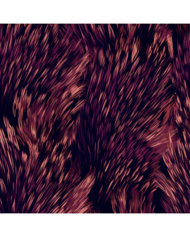 Botanical collection 1