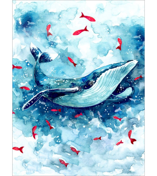 Whale 01