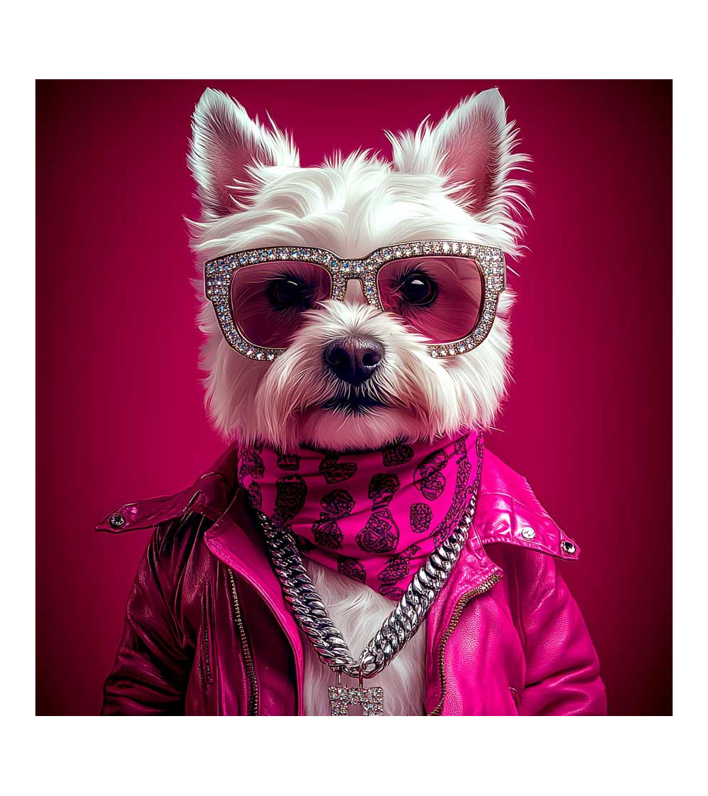 Fashion dog 01