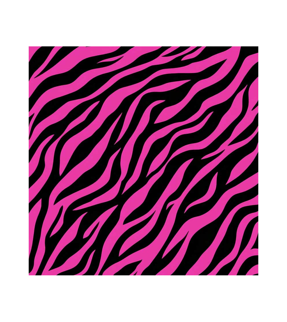 Wild zebra 05