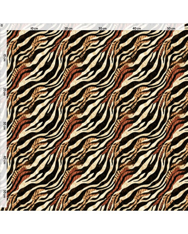 Wild zebra 03