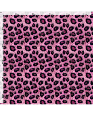 Leopard 36