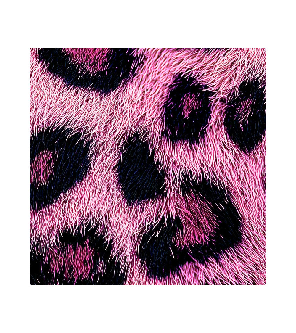 Leopard 36