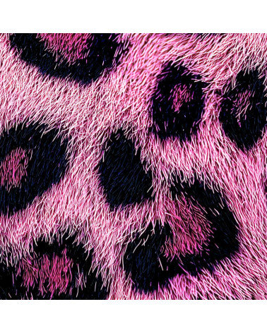 Leopard 36