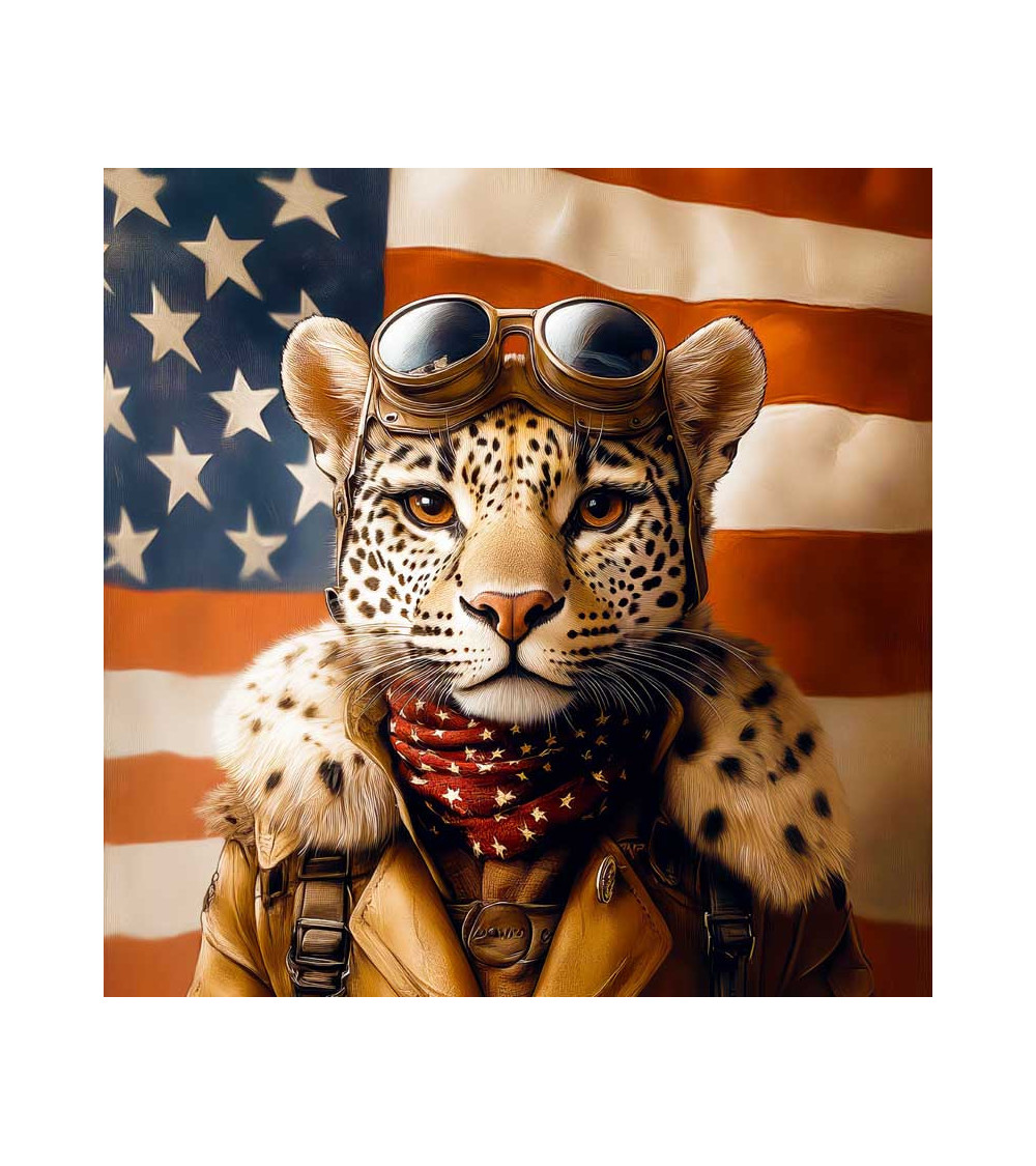 American cheetah 01