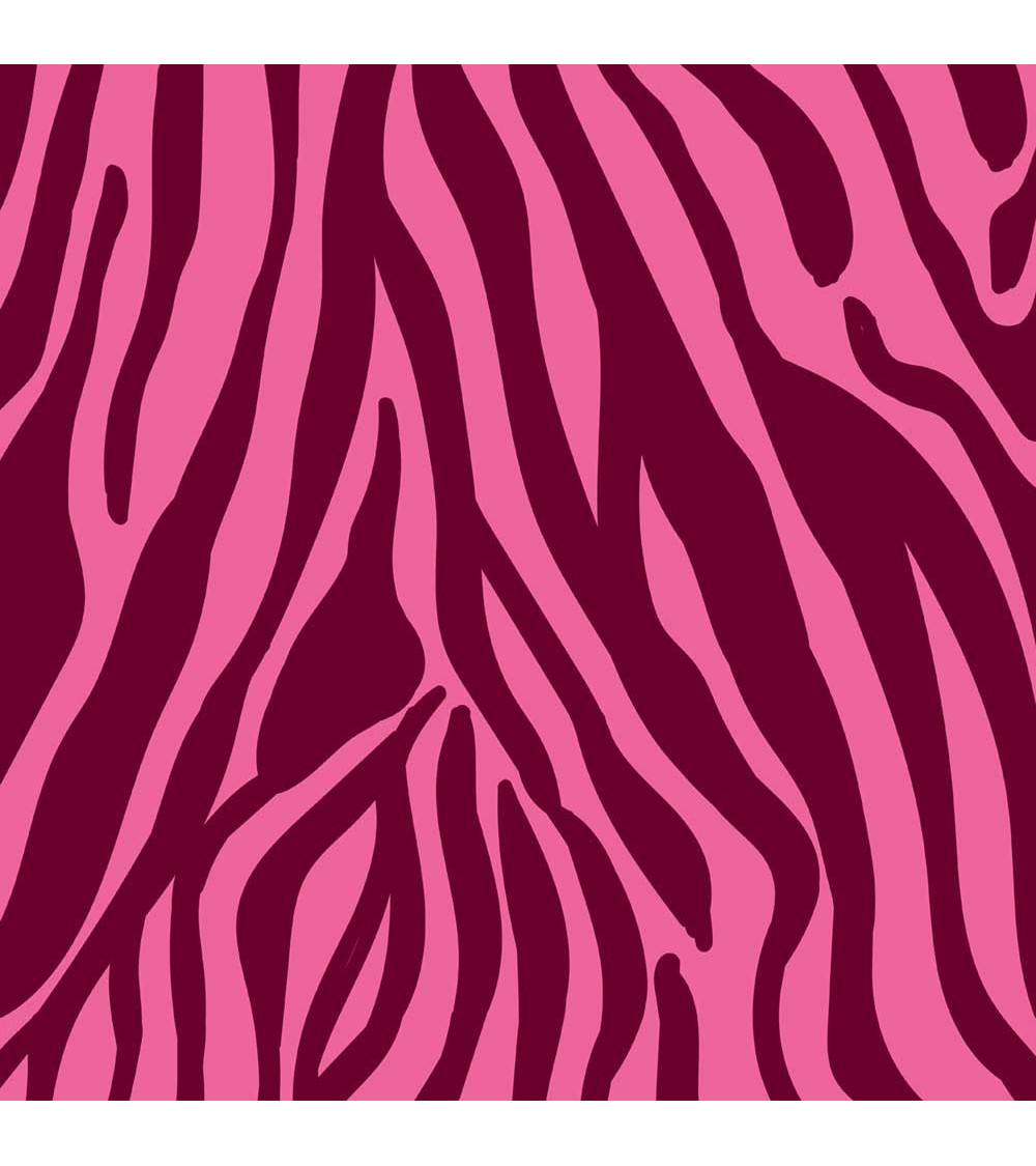 Wild zebra 06