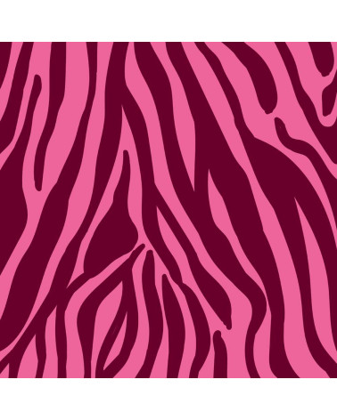 Wild zebra 06