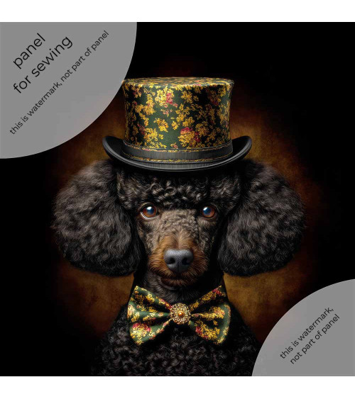 Elegant poodle 03