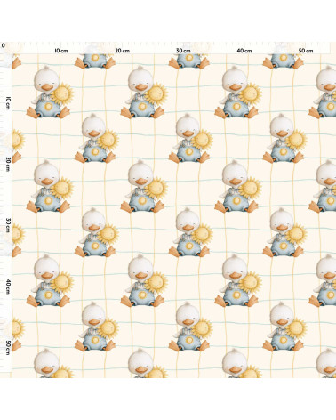 Sunny duckling 01