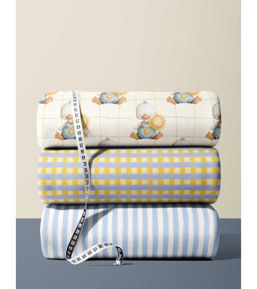 Sunny duckling 01