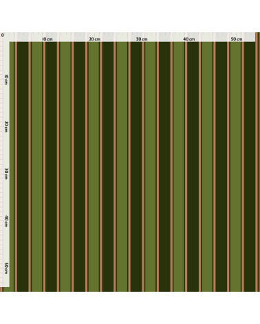 Elegant stripes 01