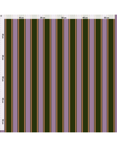 Elegant stripes 02