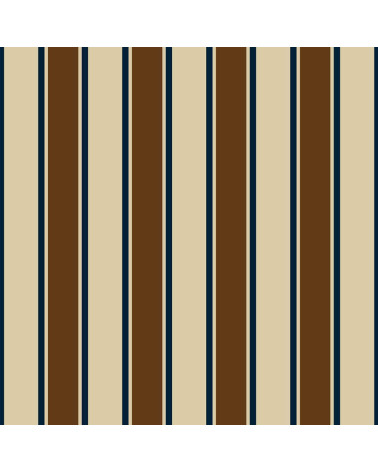 Elegant stripes 03