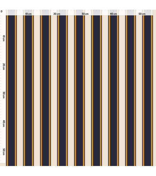 Elegant stripes 04