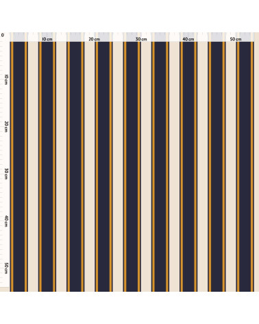 Elegant stripes 04