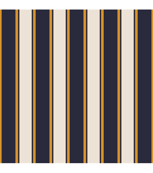 Elegant stripes 04