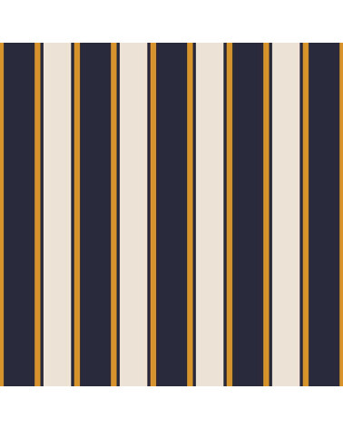 Elegant stripes 04