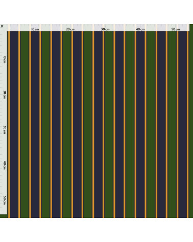 Elegant stripes 05