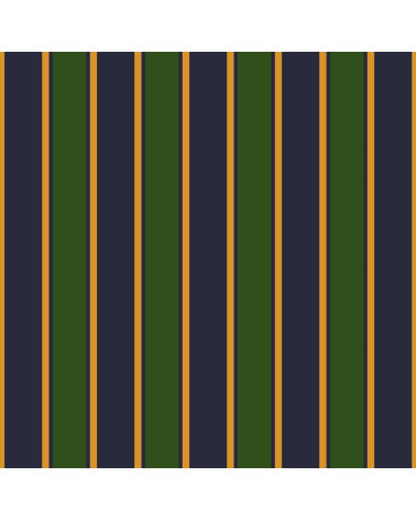 Elegant stripes 05