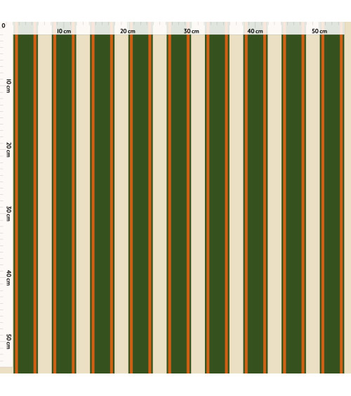 Elegant stripes 06
