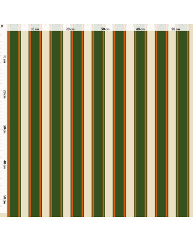 Elegant stripes 06