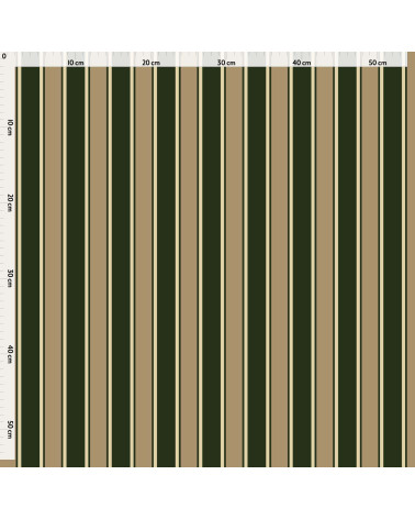 Elegant stripes 07