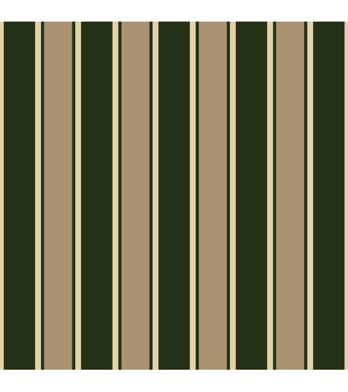 Elegant stripes 07