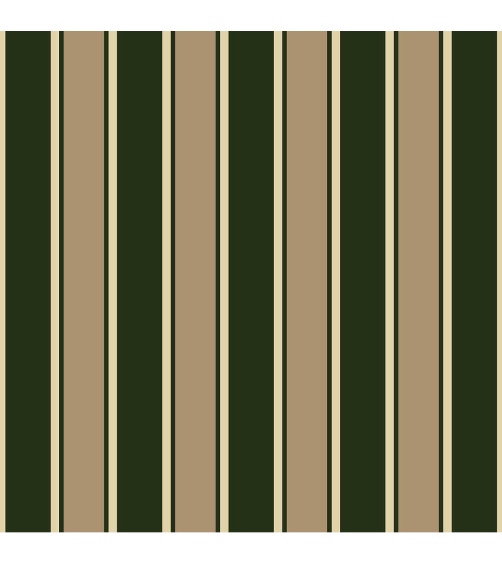 Elegant stripes 07