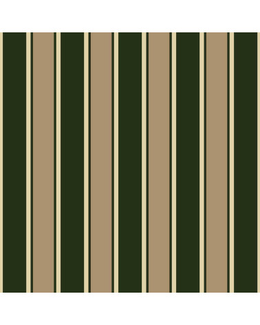 Elegant stripes 07