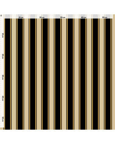 Elegant stripes 08