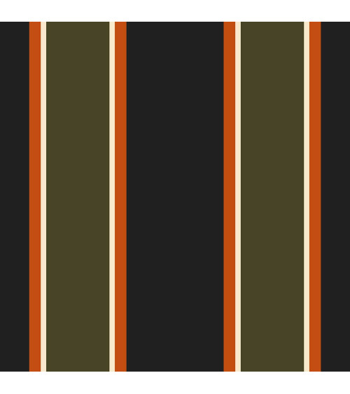 Colorful stripes 05
