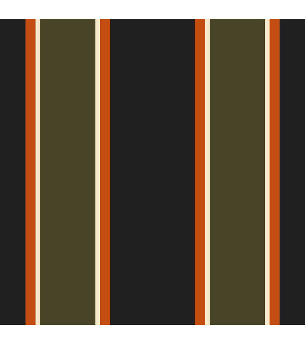 Colorful stripes 05