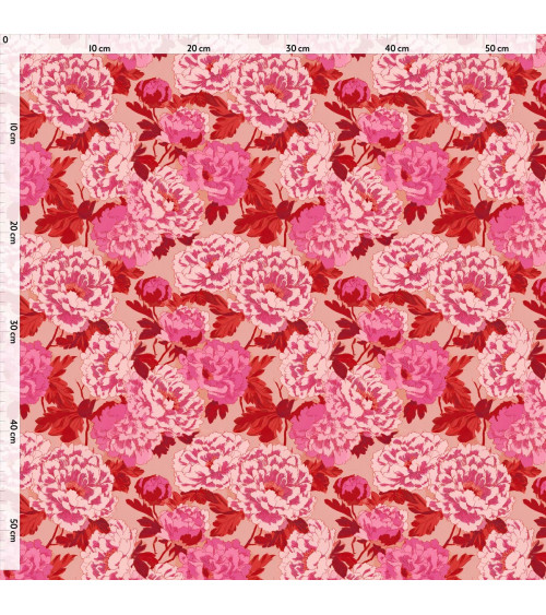 Peony lines 01 – Pfingstrosen in Linien | Mamidu