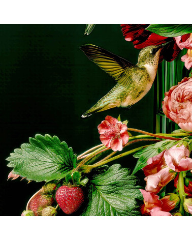 Hummingbird Bouquet 01 – Kolibris und Pfingstrosen | Mamidu