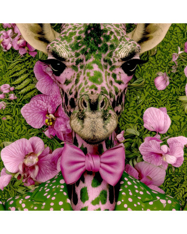 Orchid Giraffe 01 – żyrafa w storczykach | Mamidu