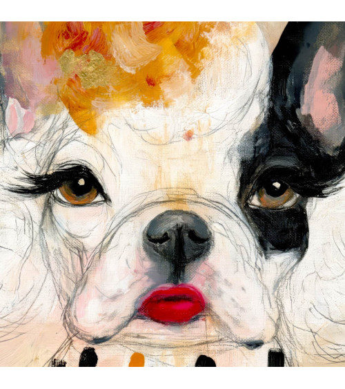 Glam Frenchie 01 – buldog z fryzurą pudla | Mamidu