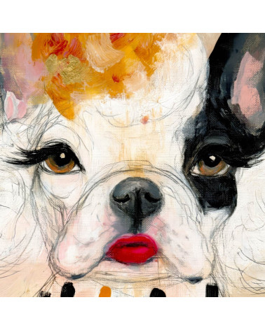 Glam Frenchie 01 – buldog z fryzurą pudla | Mamidu