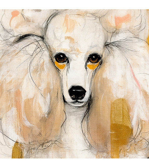 Glam Poodle 03 – Cremepudel mit Harlekin | Mamidu