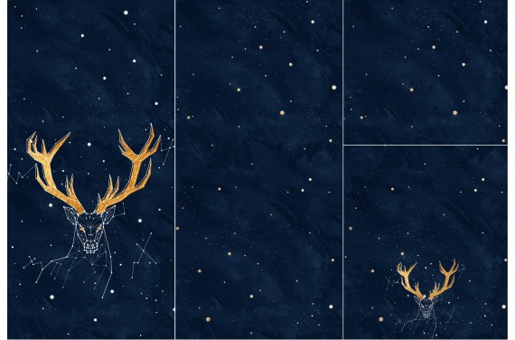 Panel for sleeping bag Constellation