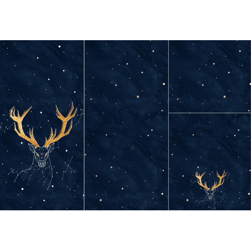 Panel for sleeping bag Constellation
