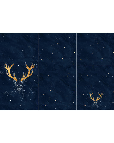 Panel for sleeping bag Constellation