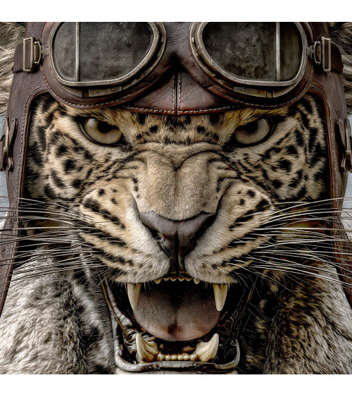 Aviator Leopard 01 – aviator leopard panel | Mamidu