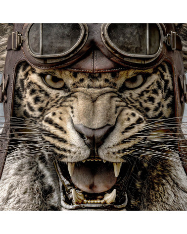Aviator Leopard 01 – aviator leopard panel | Mamidu