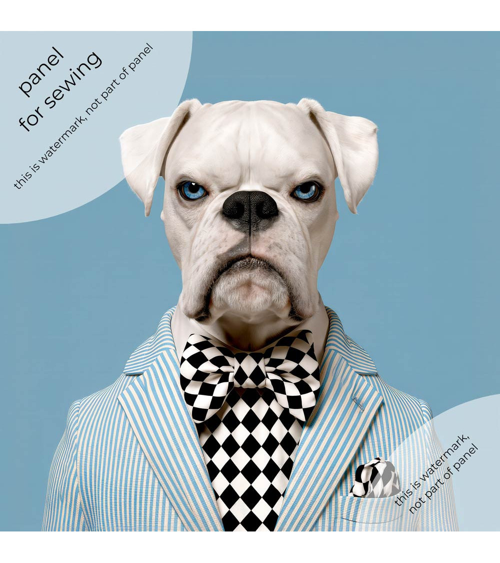 Dapper Boxer 01 – dapper boxer dog panel | Mamidu